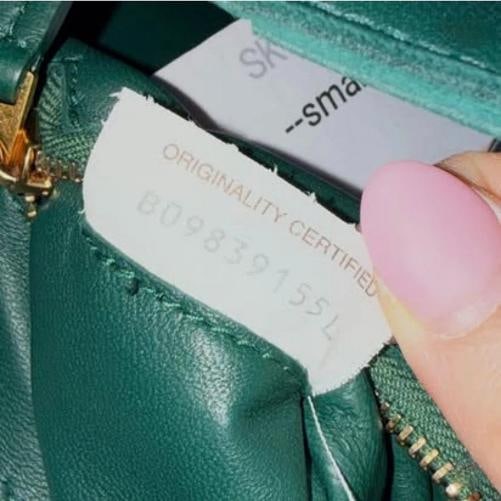 Bottega Veneta Small Cassette Bag in Rain Tree Green - 11