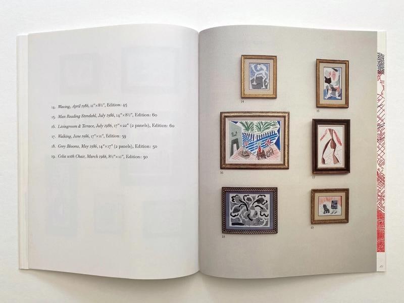 DAVID HOCKNEY "HOME MADE PRINTS" RARE 1986 1ST EDITION POP ART EXHIBITION BOOK - 7