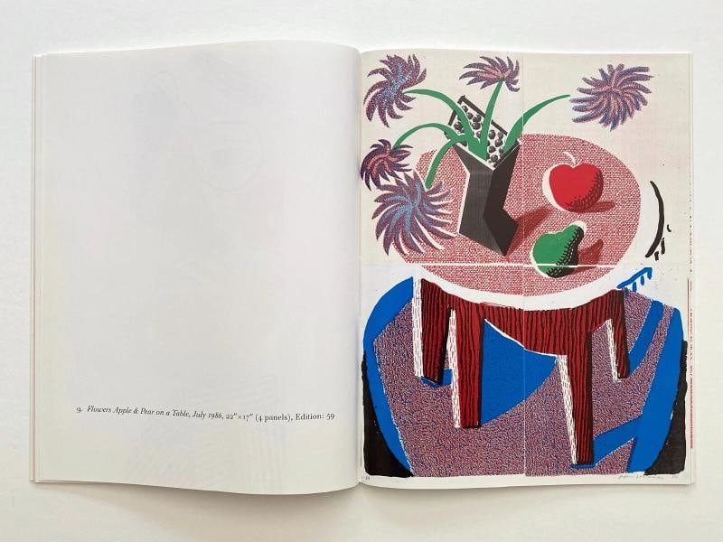 DAVID HOCKNEY "HOME MADE PRINTS" RARE 1986 1ST EDITION POP ART EXHIBITION BOOK - 9