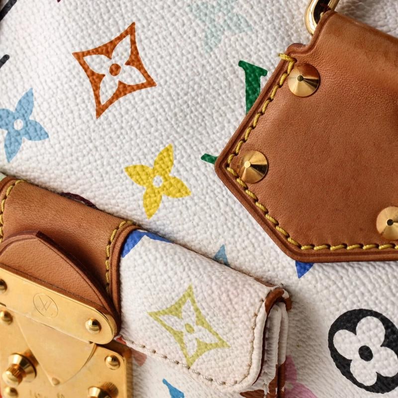 Louis Vuitton Speedy Handbag Monogram Multicolor 30 - 6