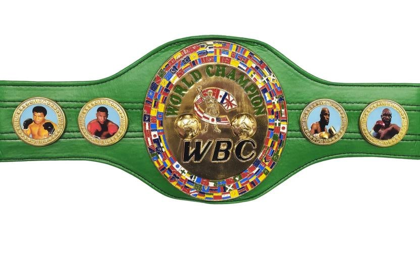 Mike Tyson & Evander Holyfield Auto Green WBC World Championship Boxing Belt JSA - 6