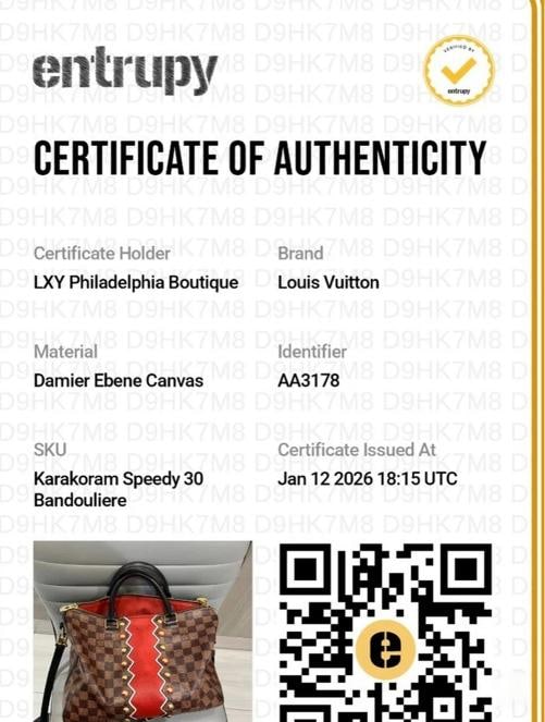 Louis Vuitton Speedy 30 Limited Edition Karakoram BandouliÃƒÂ¨re with Strap (201 - 14