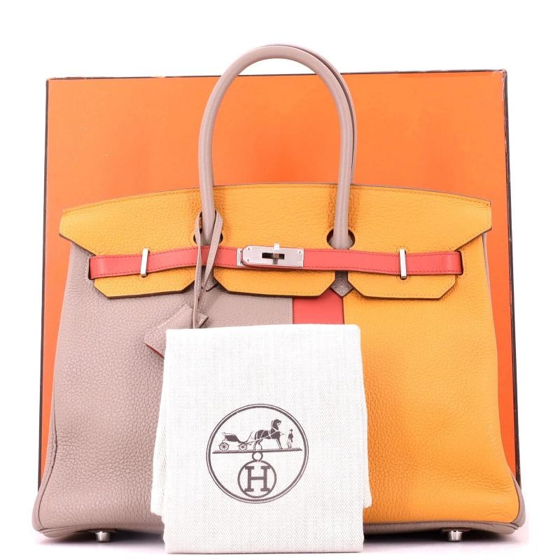 Hermes Birkin Handbag Cascade Tricolor Clemence and Swift with Brushed Palladium - 2