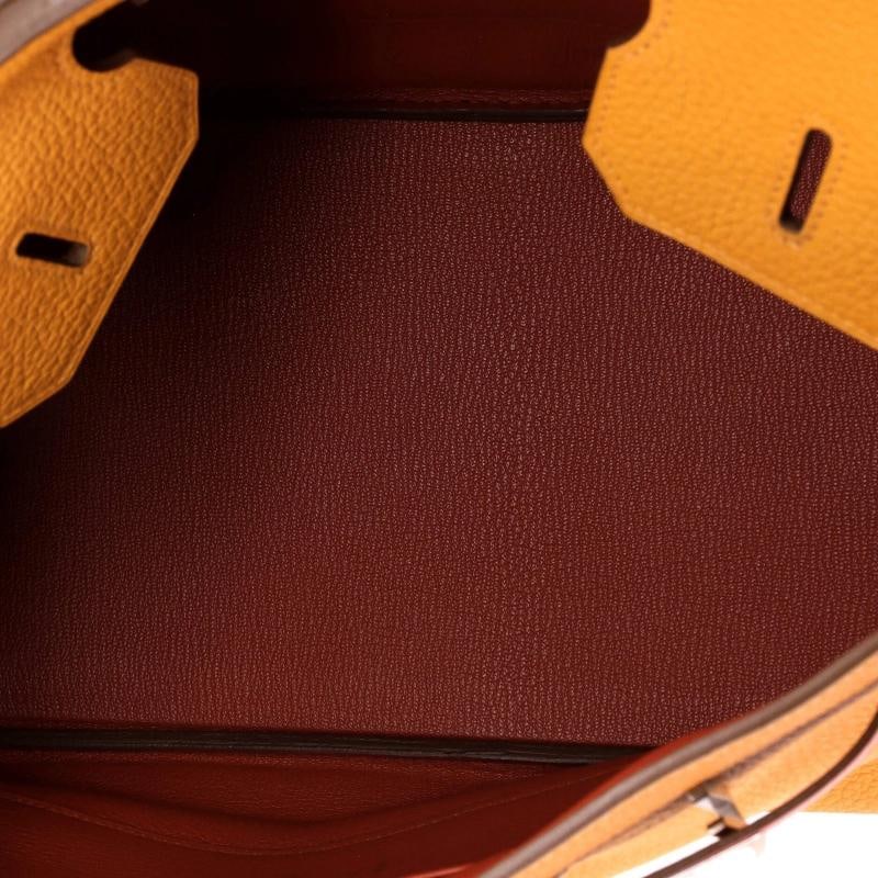 Hermes Birkin Handbag Cascade Tricolor Clemence and Swift with Brushed Palladium - 6