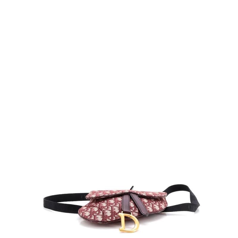 Christian Dior Saddle Belt Bag Oblique Canvas - 4