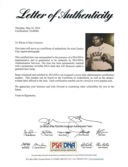 Muhammad Ali Signed 'Cassius Clay' Authentic 11X14 Photo PSA/DNA ITP #5A46966 - 2