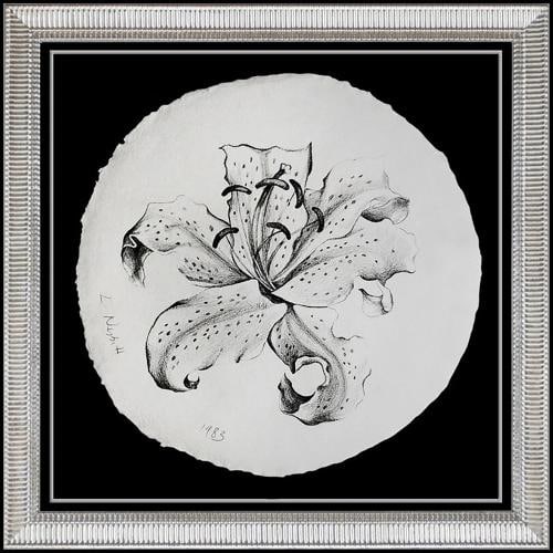 Lowell Blair Nesbitt Original Charcoal Drawing Floral Signed Framed Artwork: Condition: Used,Unit of Sale: Single Piece,Artist: Lowell Blair Nesbitt, Lowell Nesbitt,Signed: Yes,Title: Spring Blossom,Material: Charcoal,Certificate of Authenticity (COA): Yes,Framing:
