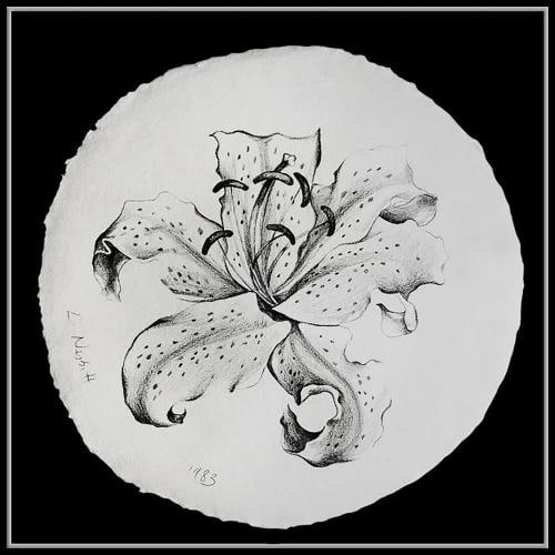 Lowell Blair Nesbitt Original Charcoal Drawing Floral Signed Framed Artwork - 2