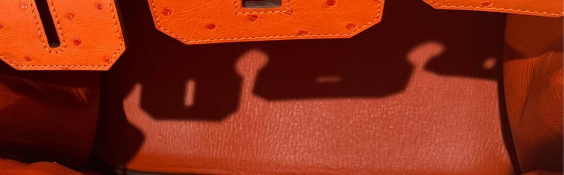 Hermes Birkin 30 Ostrich Tangerine Orange Leather Palladium Hardware RARE - 10