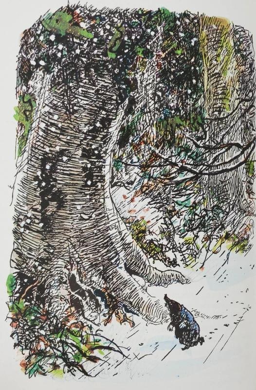 The Wind in the Willows ~ by KENNETH GRAHAME ~ Signed Limited Edition ~ 1971 - 11