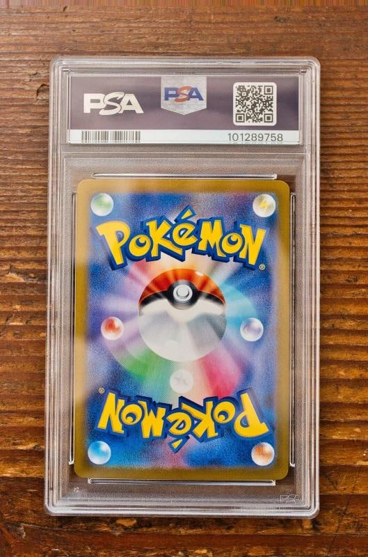 PSA 10 Terastal Festival Eevee Evolutions SAR Complete Set Pokemon Japanese - 13