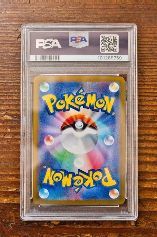 PSA 10 Terastal Festival Eevee Evolutions SAR Complete Set Pokemon Japanese - 15