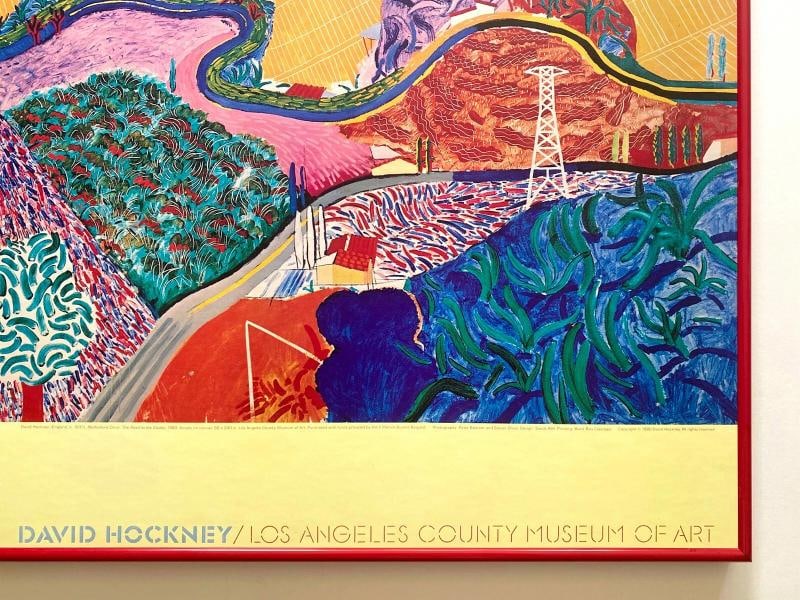 DAVID HOCKNEY RARE 1980 COLLOTYPE PRINT FRAMED MUSEUM POSTER~(38 1/4 1/4" W X 17" H X 1" D) - 10
