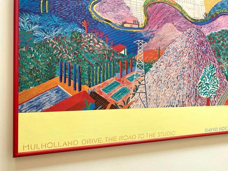 DAVID HOCKNEY RARE 1980 COLLOTYPE PRINT FRAMED MUSEUM POSTER~(38 1/4 1/4" W X 17" H X 1" D) - 7