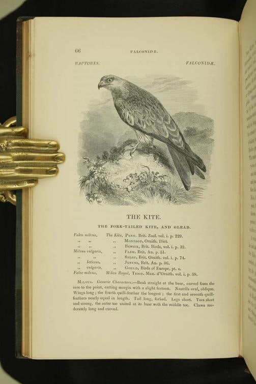 William Yarrell / A History of British Birds 1st Edition 1843 - 10