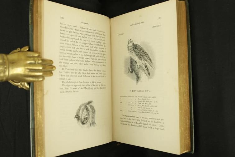 William Yarrell / A History of British Birds 1st Edition 1843 - 12