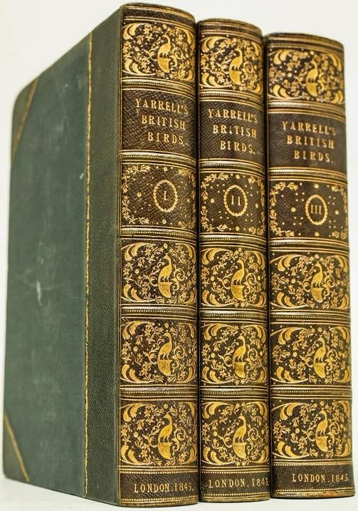 William Yarrell / A History of British Birds 1st Edition 1843 - 3