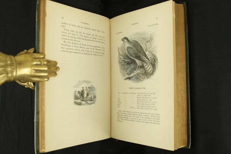 William Yarrell / A History of British Birds 1st Edition 1843 - 9