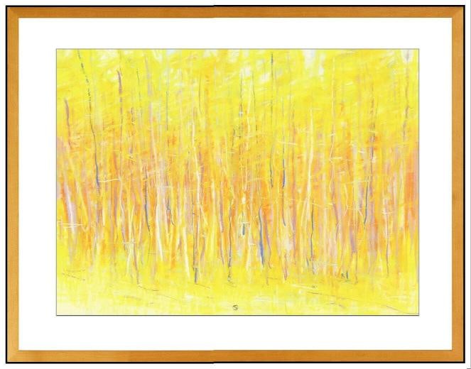 Ted Larsen Original Pastel Painting Abstract Landscape Signed Framed Artwork: Condition: Used,Artist: Ted Larsen,Personalize: No,Original/Licensed Reproduction: Original,Signed: Yes,Item Height: 12 in,Theme: Art,Title: Aspen Color,Features: Framed, Signed, Matted,Certificate