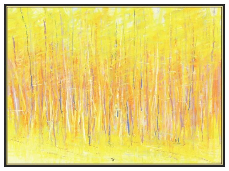 Ted Larsen Original Pastel Painting Abstract Landscape Signed Framed Artwork - 2