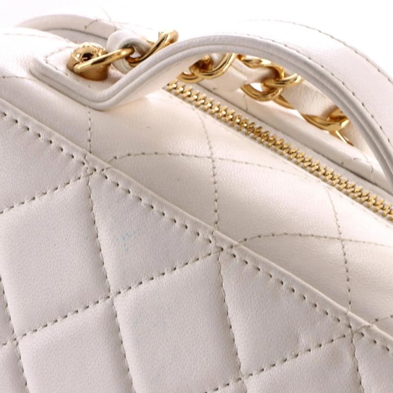 Chanel Golden Plate Vanity Case Quilted Metal and Lambskin Medium - 6