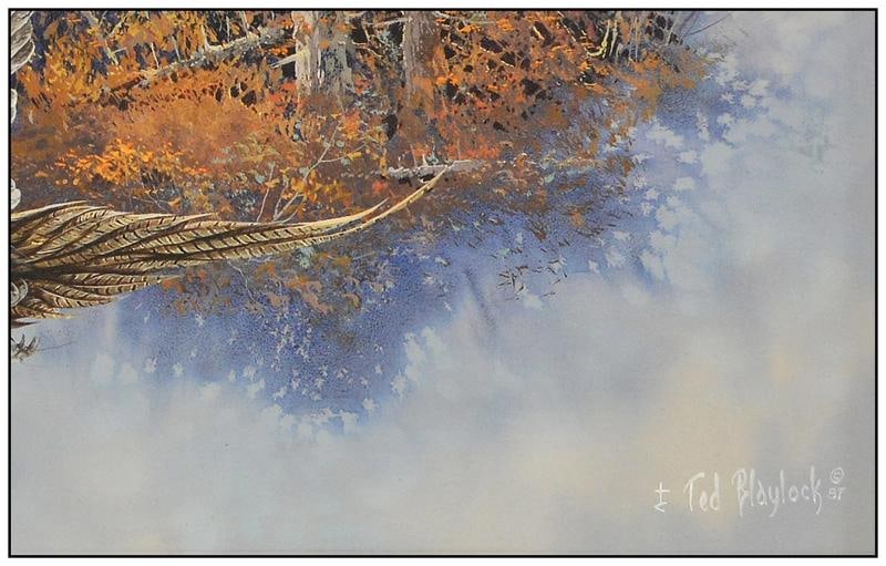 Ted Blaylock Original Oil Painting On Board Birds Wildlife Signed Framed Artwork - 3