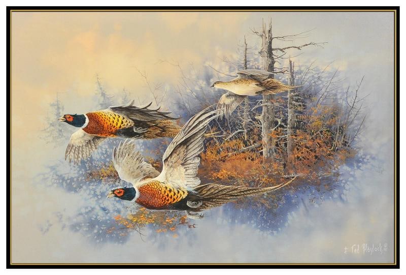 Ted Blaylock Original Oil Painting On Board Birds Wildlife Signed Framed Artwork - 2
