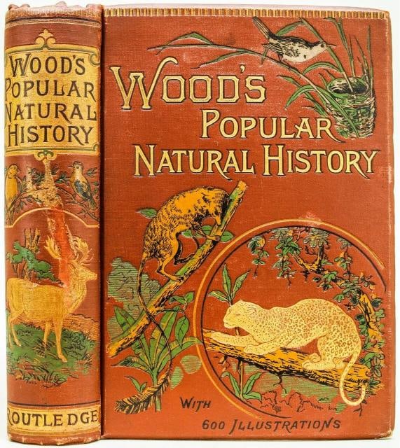 Rev J G Wood / The Popular Natural History 1894 (1 of 15)