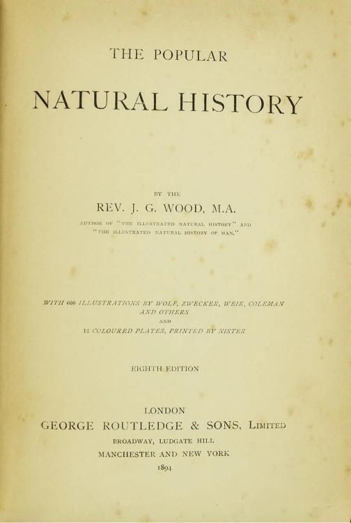 Rev J G Wood / The Popular Natural History 1894 - 2