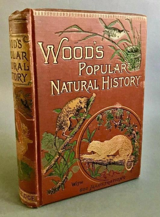 Rev J G Wood / The Popular Natural History 1894 - 3