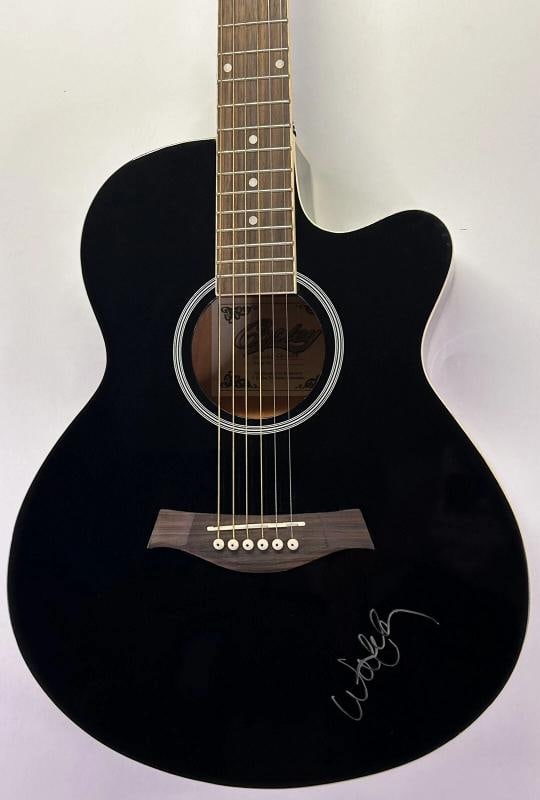 WILLIE NELSON Signed Autograph Copley Acoustic Guitar JSA LOA: Industry: Music,Signed: Yes,Autograph Authentication: James Spence (JSA),Original/Reproduction: Original,Country of Origin: United States