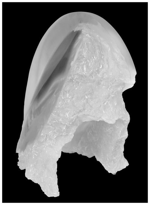 Michael Signed Wilkinson Original Acrylic Sculpture~ Edition Of /300 - 4