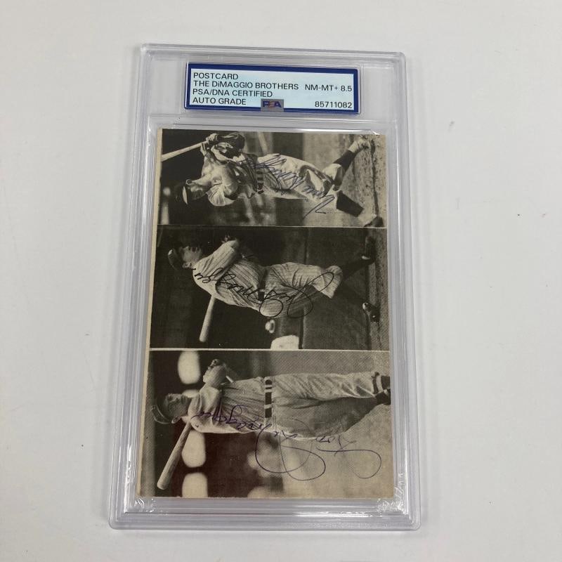Joe Dimaggio Vince Dimaggio Dom Dimaggio Signed 1970's TCMA Postcard PSA DNA - 2