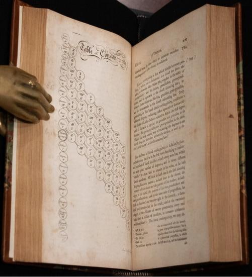 1809 COMMENTARIES ON THE LAWS OF ENGLAND William Blackstone Fine Leather Binding - 13