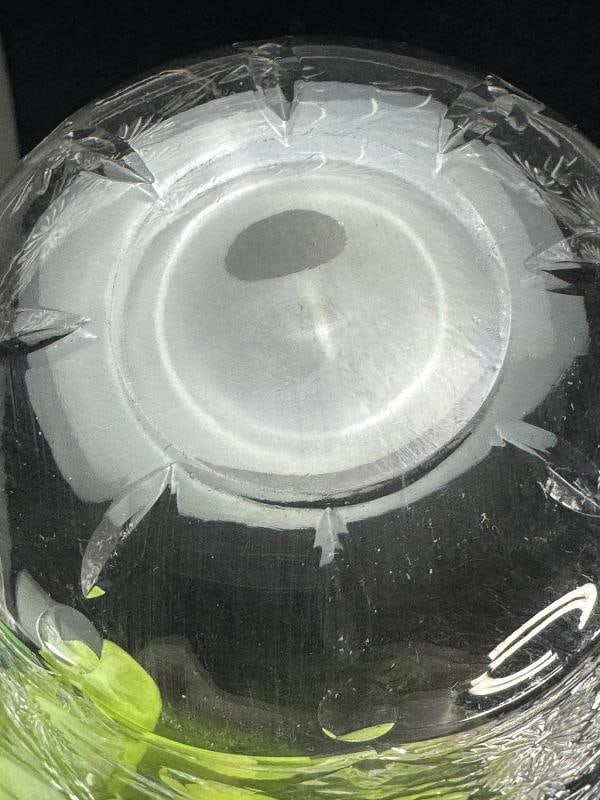 9 Antique Webb Corbett English Crystal Hand Cut Floral Bowls - 7
