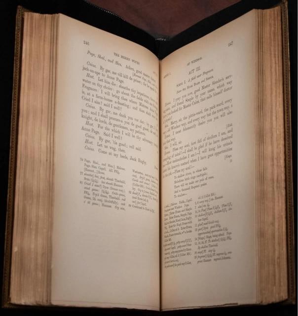 1891 The Works of William Shakespeare Fine Leather Bindings - 12