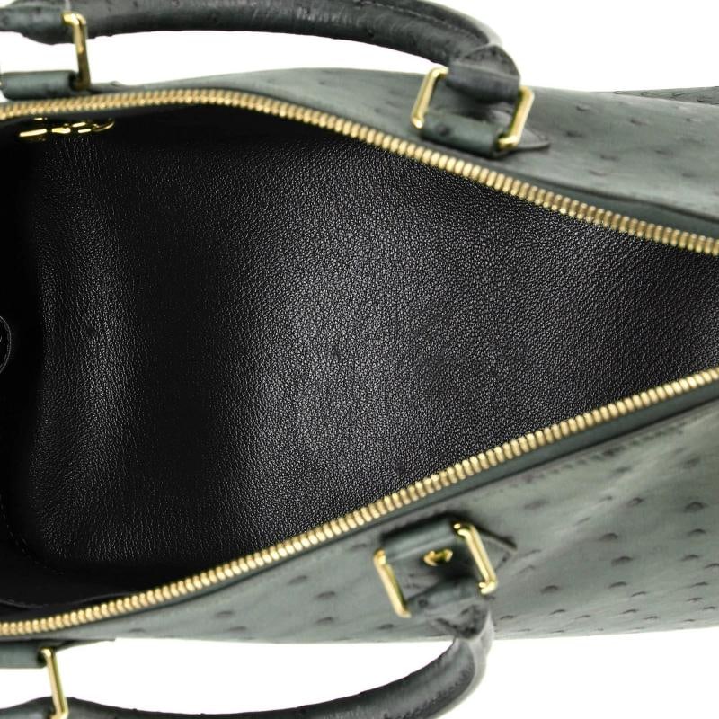 Louis Vuitton Alma Handbag Ostrich GM - 5