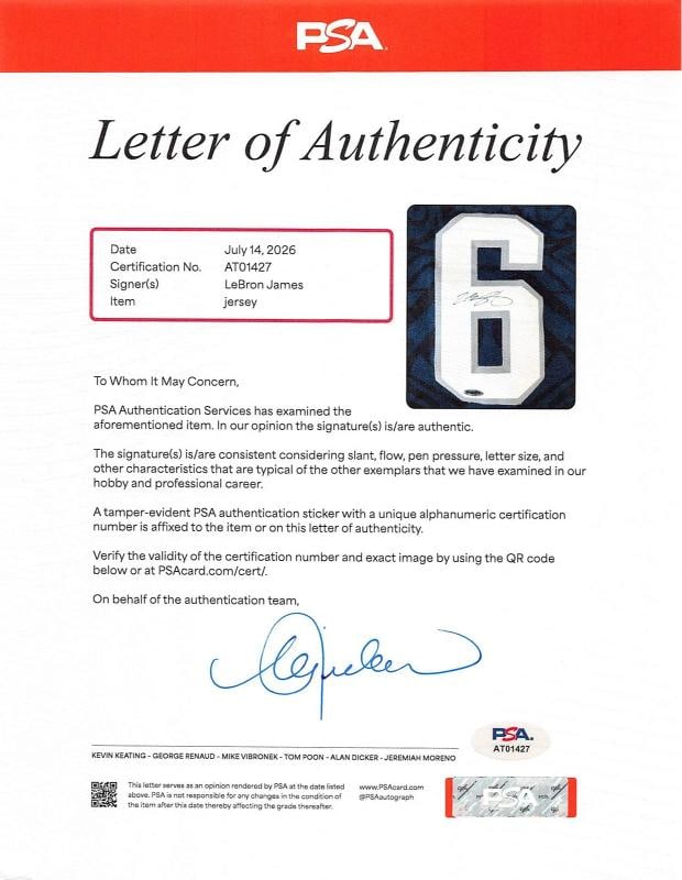 LeBron James Signed & Custom Framed Nike Team USA Jersey (Upper Deck + Beckett LOA) - 5