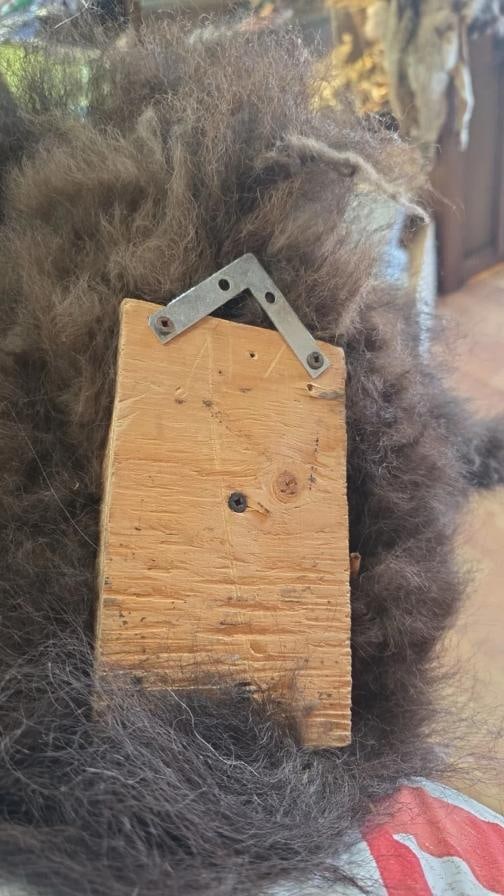 Real Buffalo / Bison Head Taxidermy Mount New Neck Mount - 8