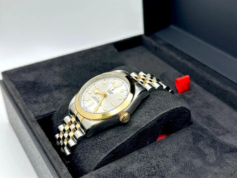 NEW 2025 Tudor 79663 Black Bay 39MM Silver Dial 18K Gold Steel Box Paper - 7