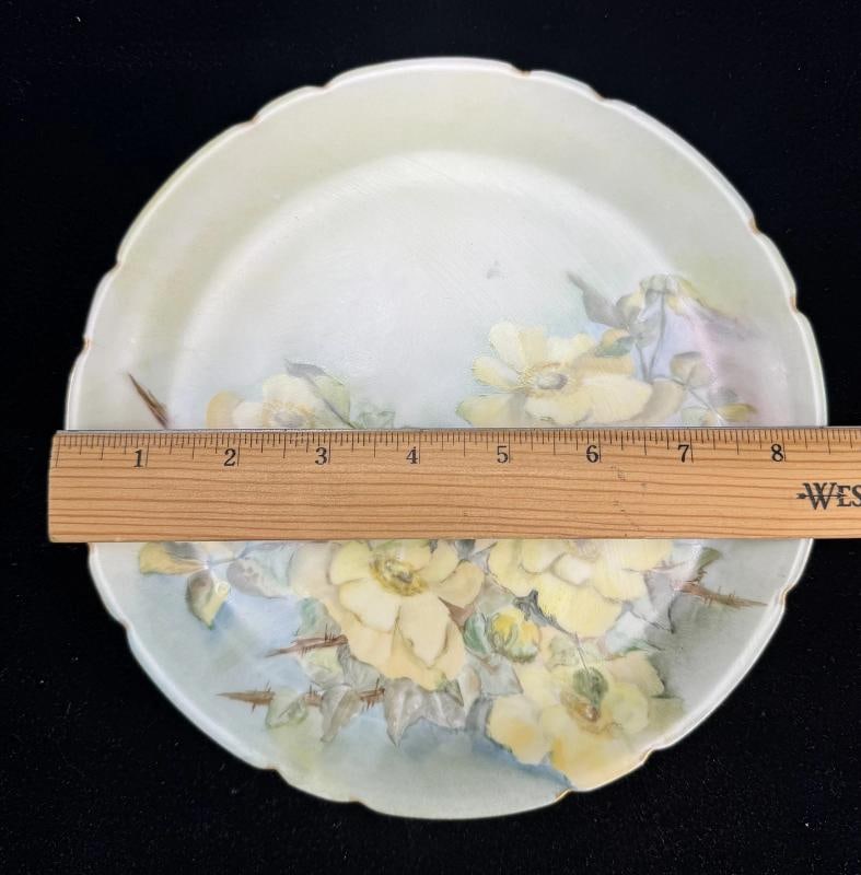 12 Antique Circa 1890s Jean Pouyat Limoges Hand Painted Floral Dinner Plates - 7