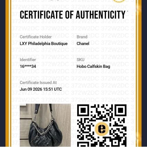Chanel Distressed Calfskin Large Coco Pleats Hobo (2012) - 19