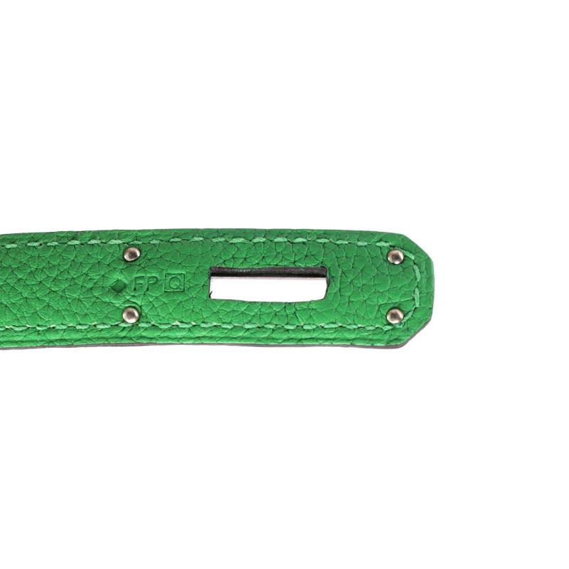 Hermes Birkin Handbag Green Togo with Palladium Hardware 35 - 7