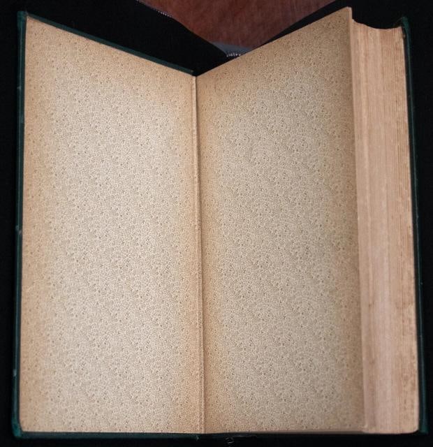 Elizabeth Custer / Tenting On The Plains 1889 Shoulder Strap Edition - 4