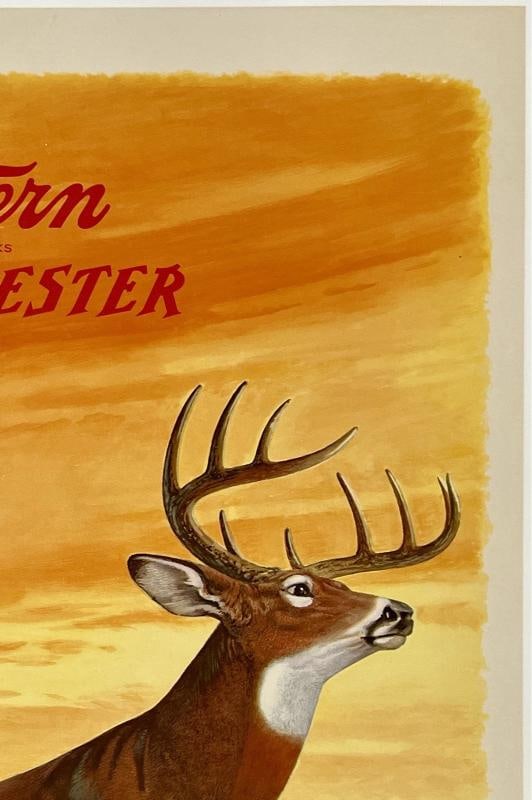 Original Vintage Poster WESTERN WINCHESTER DEER Buck Hunting Shooting Rifle OL - 3