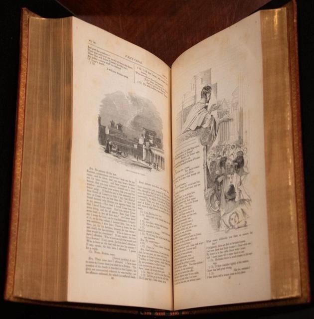 The Illustrated Shakespeare / Shakespeare's Plays: With His Life Illustrated With Many Hundred Wo... - 17