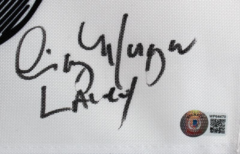 Caddyshack (3) Chase, Morgan & O'Keefe Signed Bushwood Flag (Beckett) - 4