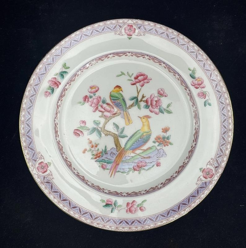 Set of 10 Antique English Bone China Plates Adderley, Albany Pattern, Birds - 2