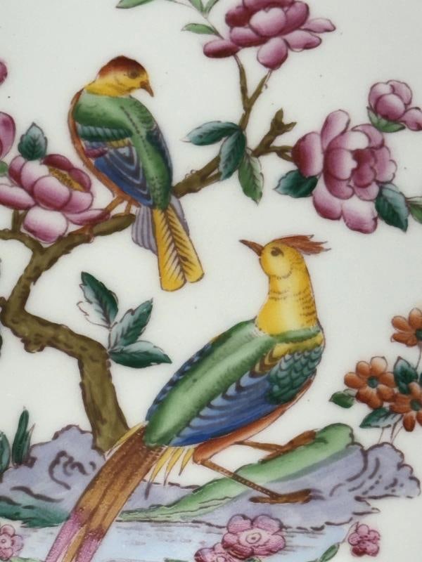 Set of 10 Antique English Bone China Plates Adderley, Albany Pattern, Birds - 3