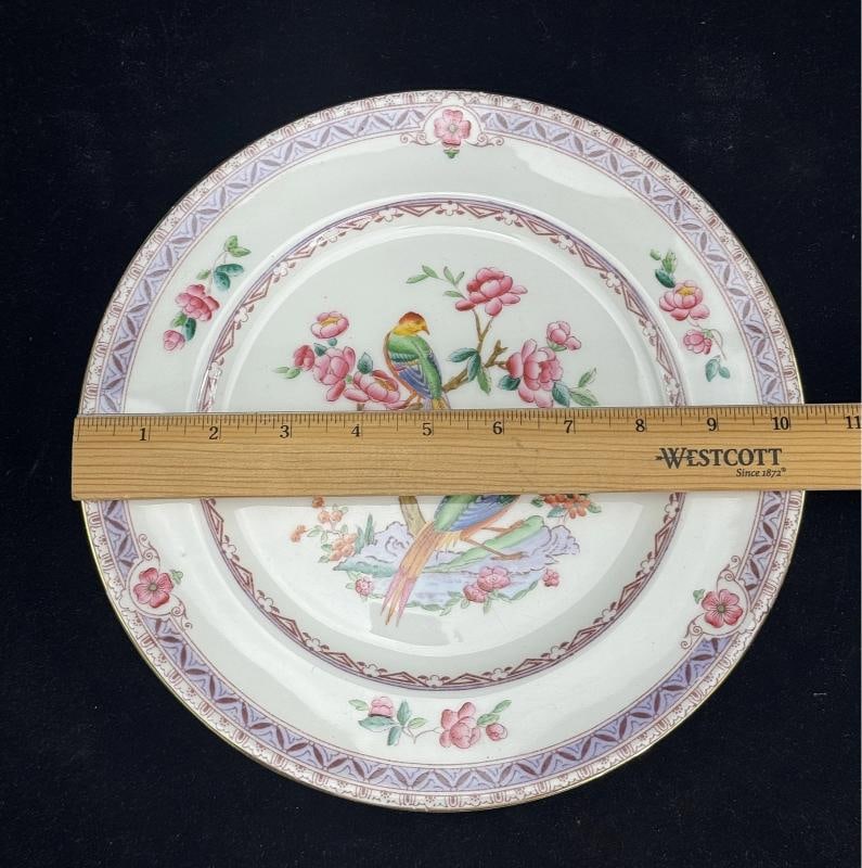 Set of 10 Antique English Bone China Plates Adderley, Albany Pattern, Birds - 7